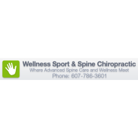 Wellness Sport & Spine Chiropractic PLLC Logo