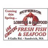 Superior Lobster & Seafood Logo