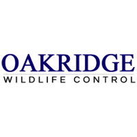 Oakridge Wildlife Control Logo