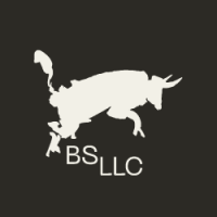 BS LLC Branding Agency Cincinnati | Strategy & Marketing Solutions Logo