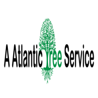 A Atlantic Tree Service Logo