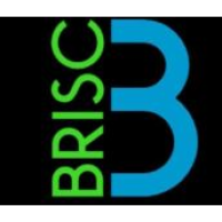 Brisc Plumbing Logo
