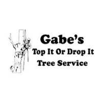 Gabe's Top It or Drop It Tree Service, LLC Logo