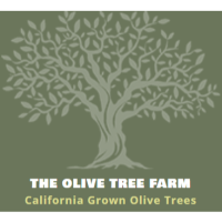 Olive Tree Farm Logo