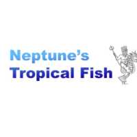 Neptune's Tropical Fish Logo