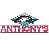 Anthony's at Columbia Point Logo
