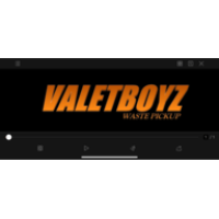 VALETBOYZ LLC Logo