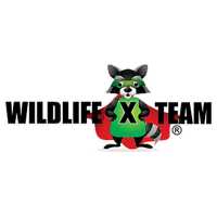 Wildlife X Team San Antonio Logo