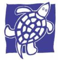 Blue Turtle Toy Store Logo
