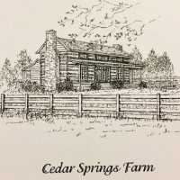 Cedar Springs Logo