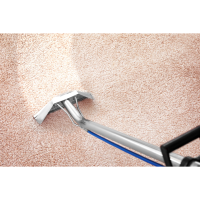 Save On Carpet Cleaning Logo
