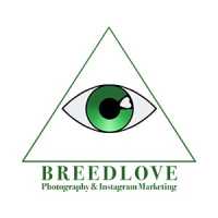 Breedlove Services Logo