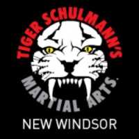 Tiger Schulmann's Martial Arts (New Windsor, NY) Logo