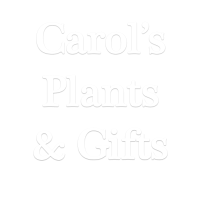 Carol's Plants & Gifts Logo