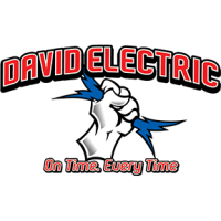 David Electric Logo