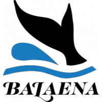 Balaena Logo