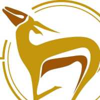 Springbok Wellness and Rehab Logo