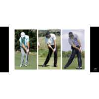 Dan Chicorel Golf Instruction Logo
