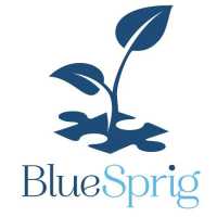 BlueSprig Autism Logo