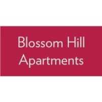 Blossom Hill Logo