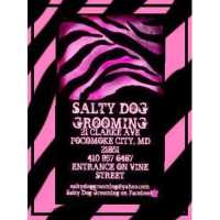 Salty Dog Grooming Logo