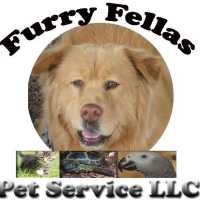 Furry Fellas Dog Walking & Pet Sitting Service Logo