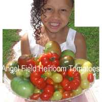 Angel Field Heirloom Tomatoes Logo