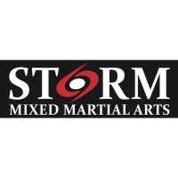 Storm Mixed Martial Arts Logo
