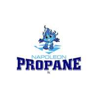Napoleon Propane LLC Logo
