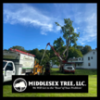 Middlesex Tree Logo