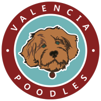 Valencia Poodles Logo