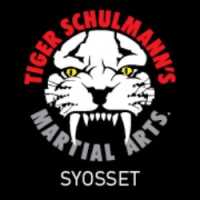 Tiger Schulmann's Martial Arts (Syosset, NY) Logo