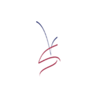 Vascular Specialists Logo