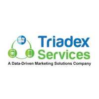 Triadex Services Logo