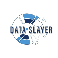 Data Slayer Logo