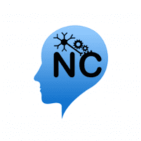 Neurology Consulting, Inc.: Peter-Brian Andersson, MD, PhD Logo