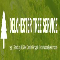 Delchester Tree Service Logo