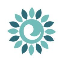 Birth Choice Logo