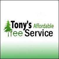 Tony's Affordable Tree Service & Stump Grinding Logo