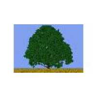 Millburn Tree Farm Logo