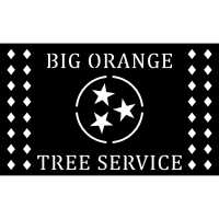 Big Orange Tree Service by Jason Stiltner Logo