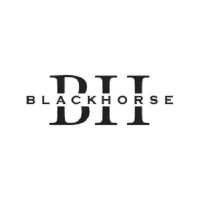 BlackHorse LLC Logo