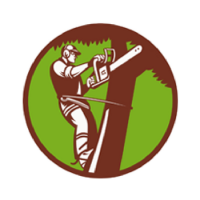 Stanford Tree Trimming & Removal Logo