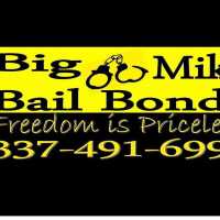 Big Mike Bail Bonds Logo