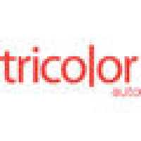 Tricolor Auto - Austin N-135 Logo