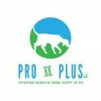 Pro K9 Plus LLC Logo