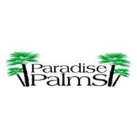 Paradise Palms NC Logo
