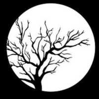 Moon Tree Tarot Logo