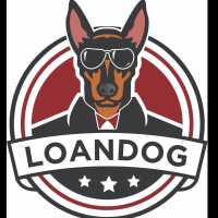 Loan Dog Logo