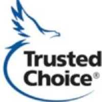 Cheney Insurance Group Logo